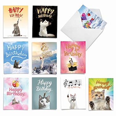 The Best Card Company 10 Cute Birthday Note Cards with Envelopes 4 x 512 Inch Pets and Animal Notecards Boxed Assortment CatSent Greetings AM6112BPGB1x10