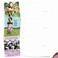 The Best Card Company 10 Funny Thank You Cards with Envelopes 4 x 512 Inch Humorous Gratitude Boxed Note Set Bodacious Broads M6571TYG