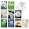 The Best Card Company 10 Wildlife Thank You Greeting Cards wEnvelopes Cute Animal Boxed Notes Stationery My Fair Ladybug AM6332TYGB1x10