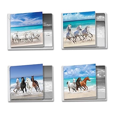 The Best Card Company 12 Beautiful Blank Note Cards Bulk 4 x 512 Inch 4 Designs 3 Each Gallops and Greetings MQ5074OCBB3x4NB