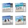The Best Card Company 12 Beautiful Blank Note Cards Bulk 4 x 512 Inch 4 Designs 3 Each Gallops and Greetings MQ5074OCBB3x4NB