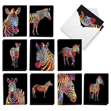 The Best Card Company 20 Assorted Blank Note Cards Box Set 4 x 512 Inch with Envelopes 10 Designs 2 Each Rainbow Zebras AM10327OCBB2x10