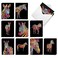 The Best Card Company 20 Assorted Blank Note Cards Box Set 4 x 512 Inch with Envelopes 10 Designs 2 Each Rainbow Zebras AM10327OCBB2x10