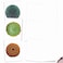 The Best Card Company 20 Assorted Blank Plant Cards Boxed 4 x 512 Inch 10 Designs 2 Each Luscious Succulents AM6287OCBB2x10
