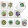The Best Card Company 20 Assorted Blank Plant Cards Boxed 4 x 512 Inch 10 Designs 2 Each Shiplap Succulents AM6438OCBB2x10