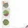 The Best Card Company 20 Assorted Blank Plant Cards Boxed 4 x 512 Inch 10 Designs 2 Each Shiplap Succulents AM6438OCBB2x10