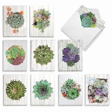 The Best Card Company 20 Assorted Blank Plant Cards Boxed 4 x 512 Inch 10 Designs 2 Each Shiplap Succulents AM6438OCBB2x10
