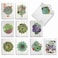 The Best Card Company 20 Assorted Blank Plant Cards Boxed 4 x 512 Inch 10 Designs 2 Each Shiplap Succulents AM6438OCBB2x10