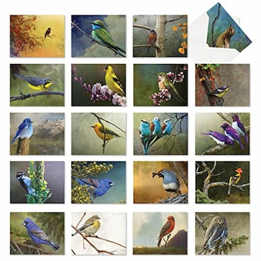 The Best Card Company 20 Assorted Boxed Thank You Note Cards with Envelopes 4 x 512 Inch Birds and Branches AM2822TYGB1x20