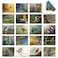 The Best Card Company 20 Assorted Boxed Thank You Note Cards with Envelopes 4 x 512 Inch Birds and Branches AM2822TYGB1x20