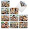The Best Card Company 20 Assorted Bulk Animal Cards Boxed 4 x 512 Inch 10 Designs 2 Each Heres Looking At Zoo AM6639OCBB2x10