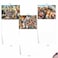 The Best Card Company 20 Assorted Bulk Animal Cards Boxed 4 x 512 Inch 10 Designs 2 Each Heres Looking At Zoo AM6639OCBB2x10