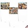 The Best Card Company 20 Assorted Bulk Animal Cards Boxed 4 x 512 Inch 10 Designs 2 Each Heres Looking At Zoo AM6639OCBB2x10