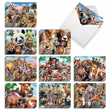 The Best Card Company 20 Assorted Bulk Animal Cards Boxed 4 x 512 Inch 10 Designs 2 Each Heres Looking At Zoo AM6639OCBB2x10