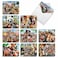The Best Card Company 20 Assorted Bulk Animal Cards Boxed 4 x 512 Inch 10 Designs 2 Each Heres Looking At Zoo AM6639OCBB2x10