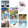 The Best Card Company 20 Boxed Dog Cards with Envelopes 4 x 512 Inch Blank Assortment 10 Designs 2 Each The Flying K9 AM6448OCBB2x10