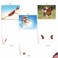 The Best Card Company 20 Boxed Dog Cards with Envelopes 4 x 512 Inch Blank Assortment 10 Designs 2 Each The Flying K9 AM6448OCBB2x10