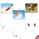 The Best Card Company 20 Boxed Dog Cards with Envelopes 4 x 512 Inch Blank Assortment 10 Designs 2 Each The Flying K9 AM6448OCBB2x10