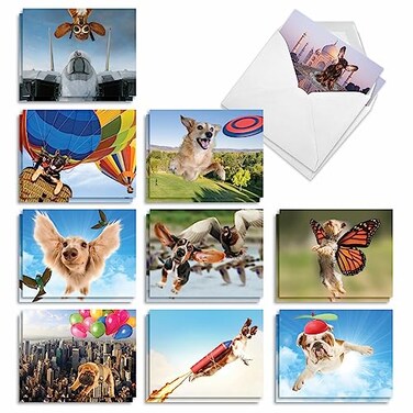 The Best Card Company 20 Boxed Dog Cards with Envelopes 4 x 512 Inch Blank Assortment 10 Designs 2 Each The Flying K9 AM6448OCBB2x10