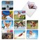 The Best Card Company 20 Boxed Dog Cards with Envelopes 4 x 512 Inch Blank Assortment 10 Designs 2 Each The Flying K9 AM6448OCBB2x10