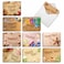The Best Card Company 20 Boxed Thank You Cards 4 x 512 Inch Assorted Stationery Set 10 Designs 2 Each Beach Notes AM6113TYGB2x10