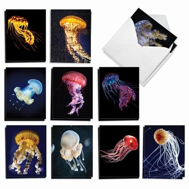 The Best Card Company 20 Bulk Animal Note Cards Blank 4 x 512 Inch engaging Assorted Notecards with Envelopes 10 Designs 2 Each Glowing Jellies AM7181OCBB2x10
