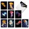 The Best Card Company 20 Bulk Animal Note Cards Blank 4 x 512 Inch engaging Assorted Notecards with Envelopes 10 Designs 2 Each Glowing Jellies AM7181OCBB2x10