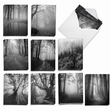 The Best Card Company 20 Bulk Sympathy Cards 4 x 512 Inch Boxed Bereavement Notecards Assorted Set 10 Designs 2 Each Misty Woods AM7167SMGB2x10