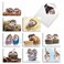 The Best Card Company 20 Cute Cards Boxed 4 x 512 Inch Assorted Blank Set 10 Designs 2 Each Cards From The Hedge AM6541OCBB2x10