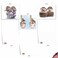 The Best Card Company 20 Cute Cards Boxed 4 x 512 Inch Assorted Blank Set 10 Designs 2 Each Cards From The Hedge AM6541OCBB2x10