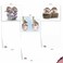 The Best Card Company 20 Cute Cards Boxed 4 x 512 Inch Assorted Blank Set 10 Designs 2 Each Cards From The Hedge AM6541OCBB2x10