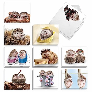 The Best Card Company 20 Cute Cards Boxed 4 x 512 Inch Assorted Blank Set 10 Designs 2 Each Cards From The Hedge AM6541OCBB2x10