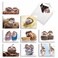The Best Card Company 20 Cute Cards Boxed 4 x 512 Inch Assorted Blank Set 10 Designs 2 Each Cards From The Hedge AM6541OCBB2x10