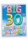 The Best Card Company Big 30th Milestone Anniversary Congratulations Notecard 85 x 11 Not Actual Balloons or 3D Inflated Messages 30 J5651EMAGUS