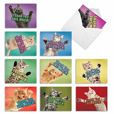 The Best Card Company 10 Assorted Blank Thank You Notes Bulk Box Set 4 x 512 Inch with Envelopes 10 Designs 1 Each Cat Big Thanks M2368TYBNB