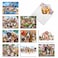 The Best Card Company 10 Assorted Humorous Thank You Notecards Box Set 4 x 512 Inch with Envelopes 10 Designs 1 Each Off The Leash M6641TYG