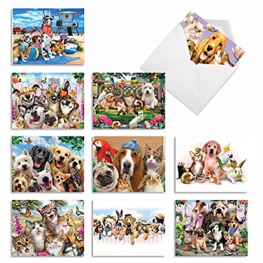 The Best Card Company 10 Assorted Humorous Thank You Notecards Box Set 4 x 512 Inch with Envelopes 10 Designs 1 Each Off The Leash M6641TYG