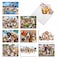 The Best Card Company 10 Assorted Humorous Thank You Notecards Box Set 4 x 512 Inch with Envelopes 10 Designs 1 Each Off The Leash M6641TYG