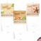 The Best Card Company 10 Assorted Thank You Note Cards Boxed Set 4 x 512 Inch with Envelopes 10 Designs 1 Each Beach Notes AM6113TYGB1x10