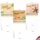 The Best Card Company 10 Assorted Thank You Note Cards Boxed Set 4 x 512 Inch with Envelopes 10 Designs 1 Each Beach Notes AM6113TYGB1x10