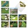 The Best Card Company 10 Assorted Thank You Note Cards Boxed Set 4 x 512 Inch with Envelopes 10 Designs 1 Each Golf Cards M6458TYG