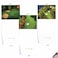 The Best Card Company 10 Assorted Thank You Note Cards Boxed Set 4 x 512 Inch with Envelopes 10 Designs 1 Each Golf Cards M6458TYG