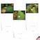 The Best Card Company 10 Assorted Thank You Note Cards Boxed Set 4 x 512 Inch with Envelopes 10 Designs 1 Each Golf Cards M6458TYG