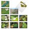 The Best Card Company 10 Assorted Thank You Note Cards Boxed Set 4 x 512 Inch with Envelopes 10 Designs 1 Each Golf Cards M6458TYG