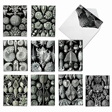 The Best Card Company 10 Assorted Thank You Note Cards Bulk Box Set 4 x 512 Inch with Envelopes 10 Designs 1 Each Sea World M9693TYG