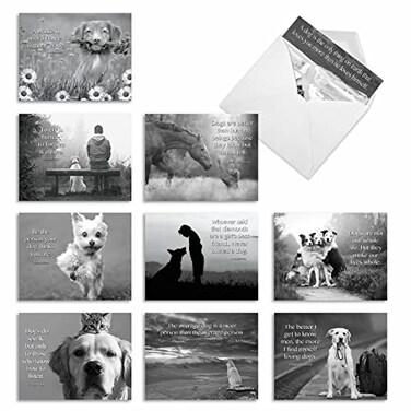 The Best Card Company 10 Assorted Thank You Notecards Boxed Set 4 x 512 Inch with Envelopes 10 Designs 1 Each Canine Comments M1623TY