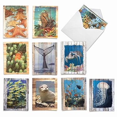 The Best Card Company 10 Assorted Thank You Notecards Boxed Set 4 x 512 Inch with Envelopes 10 Designs 1 Each Ocean Driftwood Transfers AM6331TYGB1x10