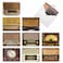 The Best Card Company 10 Assorted Thank You Notecards Boxed Set 4 x 512 Inch with Envelopes 10 Designs 1 Each Radio Days M2086