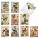 The Best Card Company 10 Assorted Thank You Notecards Boxed Set 4 x 512 Inch with Envelopes 10 Designs 1 Each ROYAL BIRDS 10 Assorted Thank You Note Cards M2343TYG