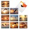 The Best Card Company 10 Assorted Thank You Notecards Boxed Set 4 x 512 Inch with Envelopes 10 Designs 1 Each Sunset Dolphins M6460TYG